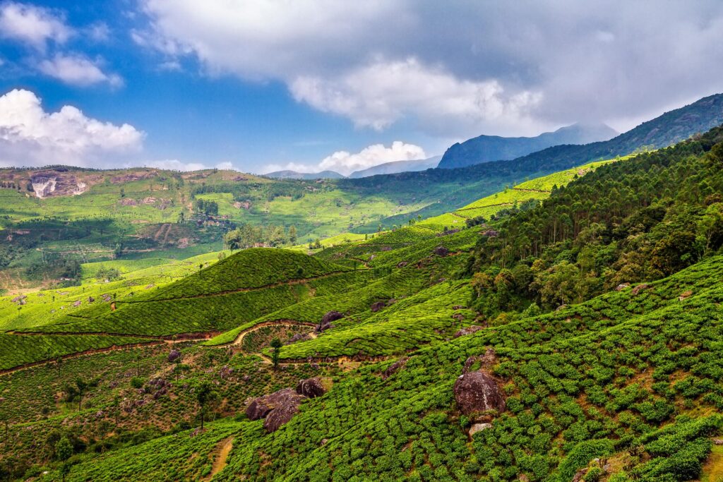 Famous Hill stations in India for family vacation